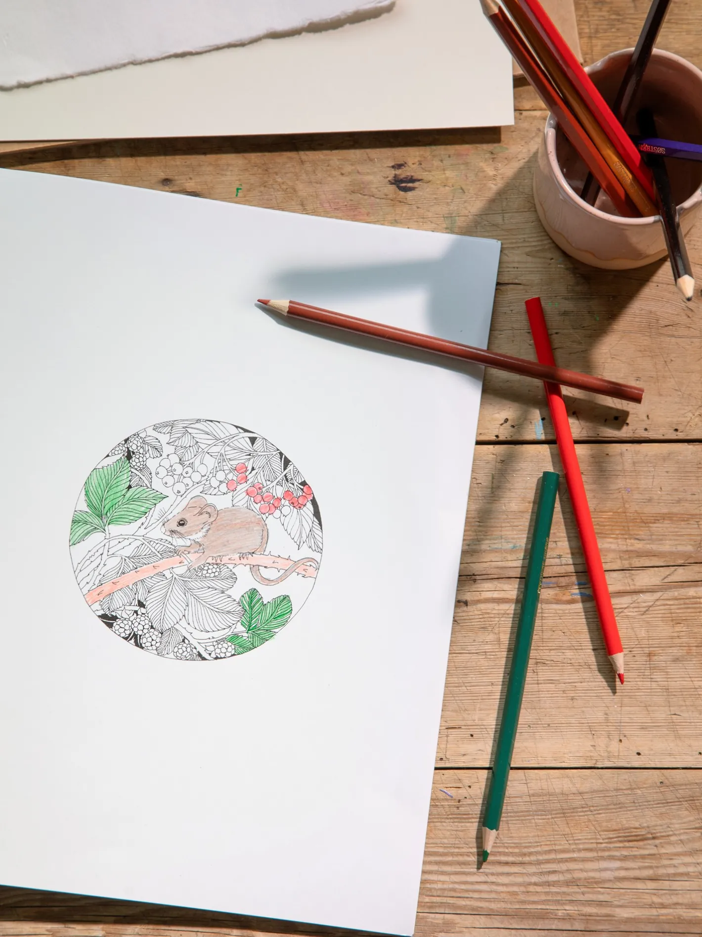 Søstrene Grene Beautiful Planet Colouring Book