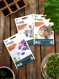 Søstrene Grene Buzzy® økologisk Blanding Af Purpur-pragtsnerlefrø