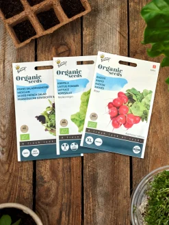 Søstrene Grene Buzzy® økologisk Fransk Salatfrøblanding