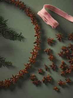 Søstrene Grene Dekorative Anisfrø