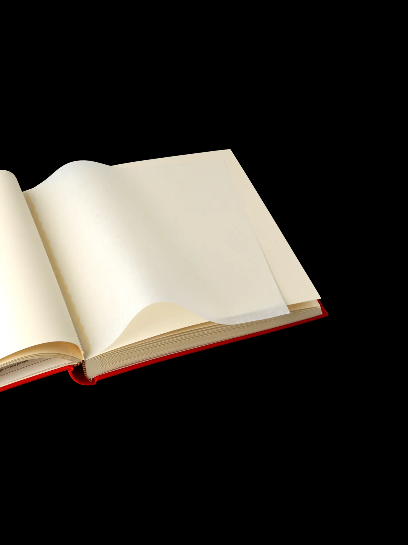 Søstrene Grene Fotoalbum