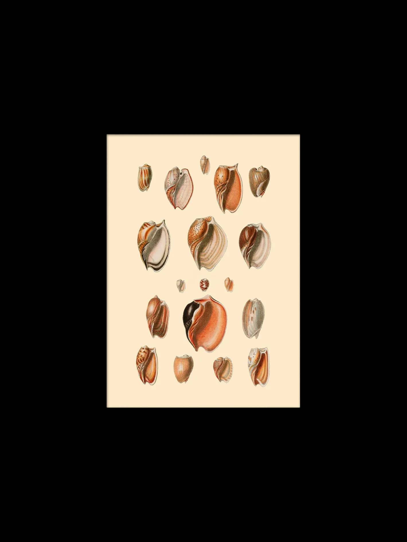 Søstrene Grene Plakat 15 X 21