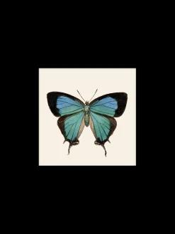 Søstrene Grene Plakat 24 X 24