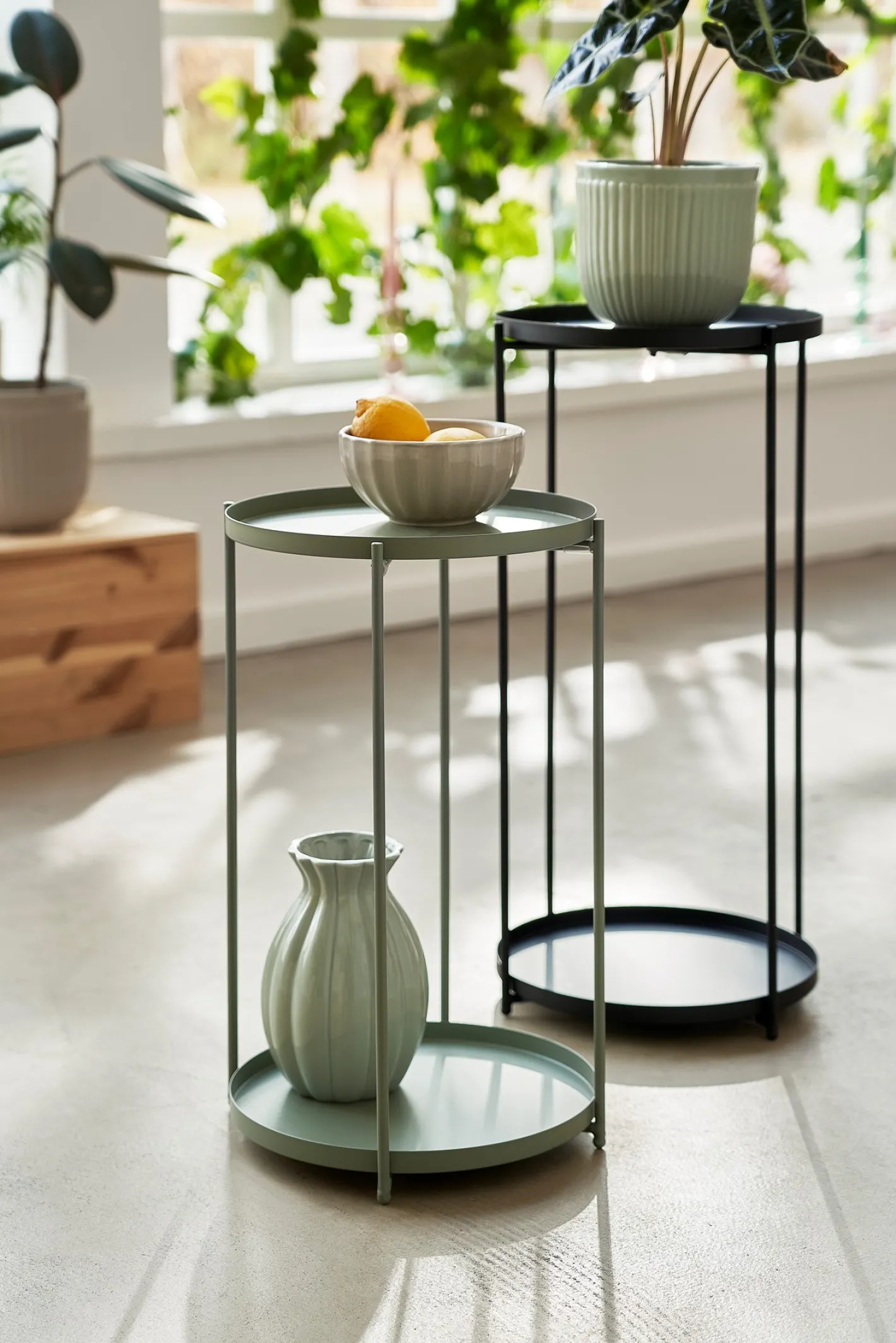 Søstrene Grene Planteopsats