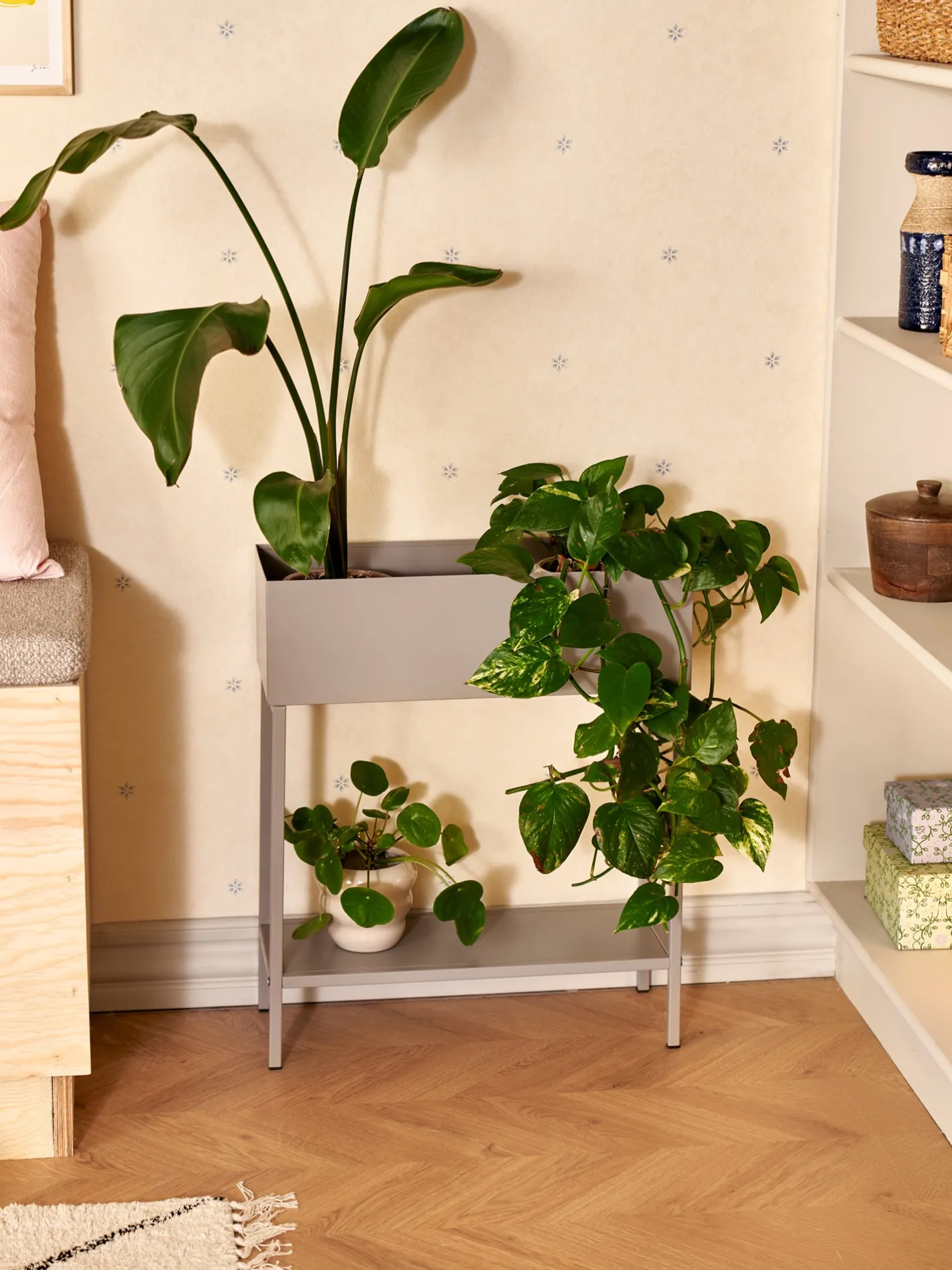 Søstrene Grene Planteopsats