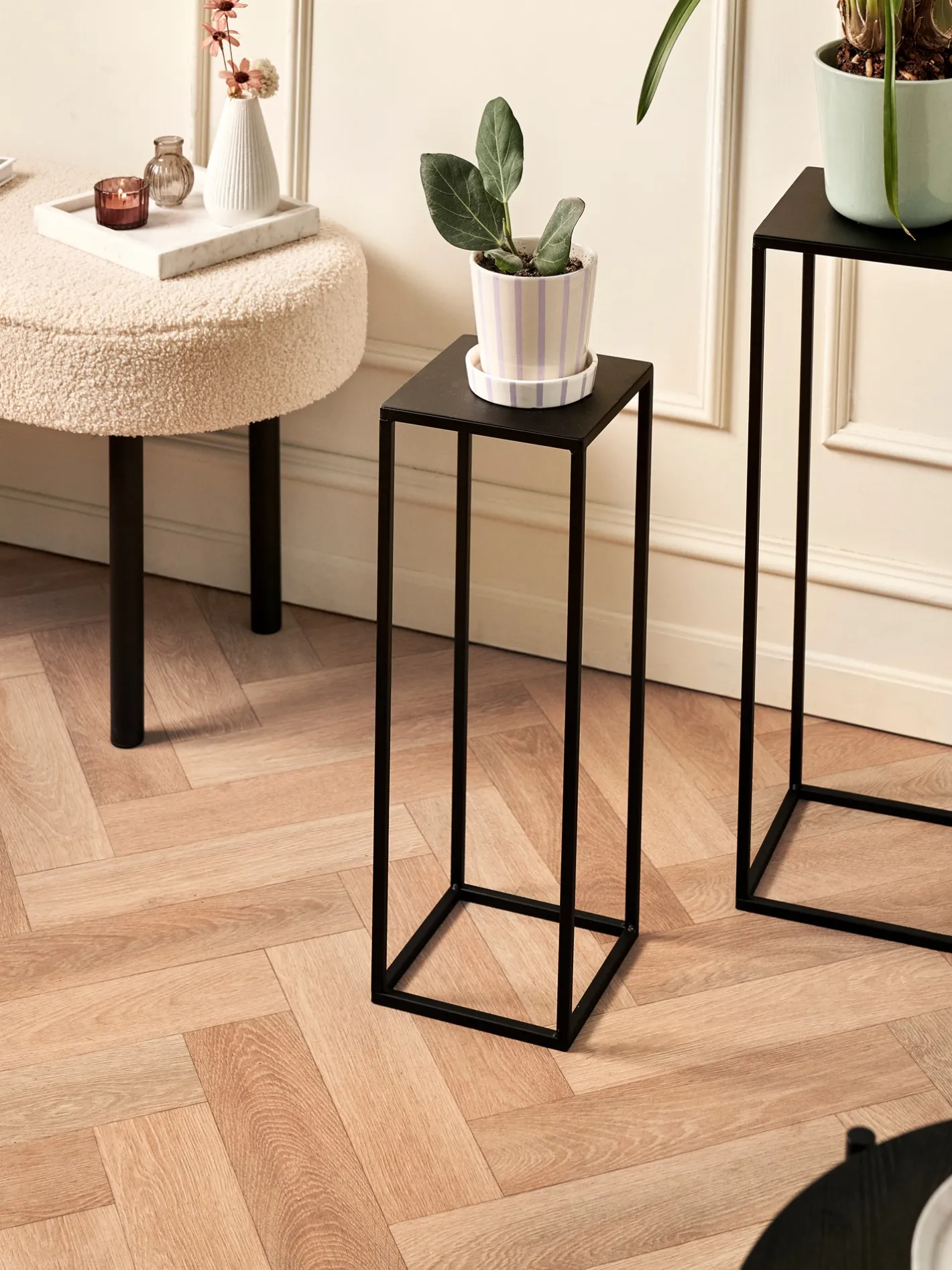 Søstrene Grene Planteopsats