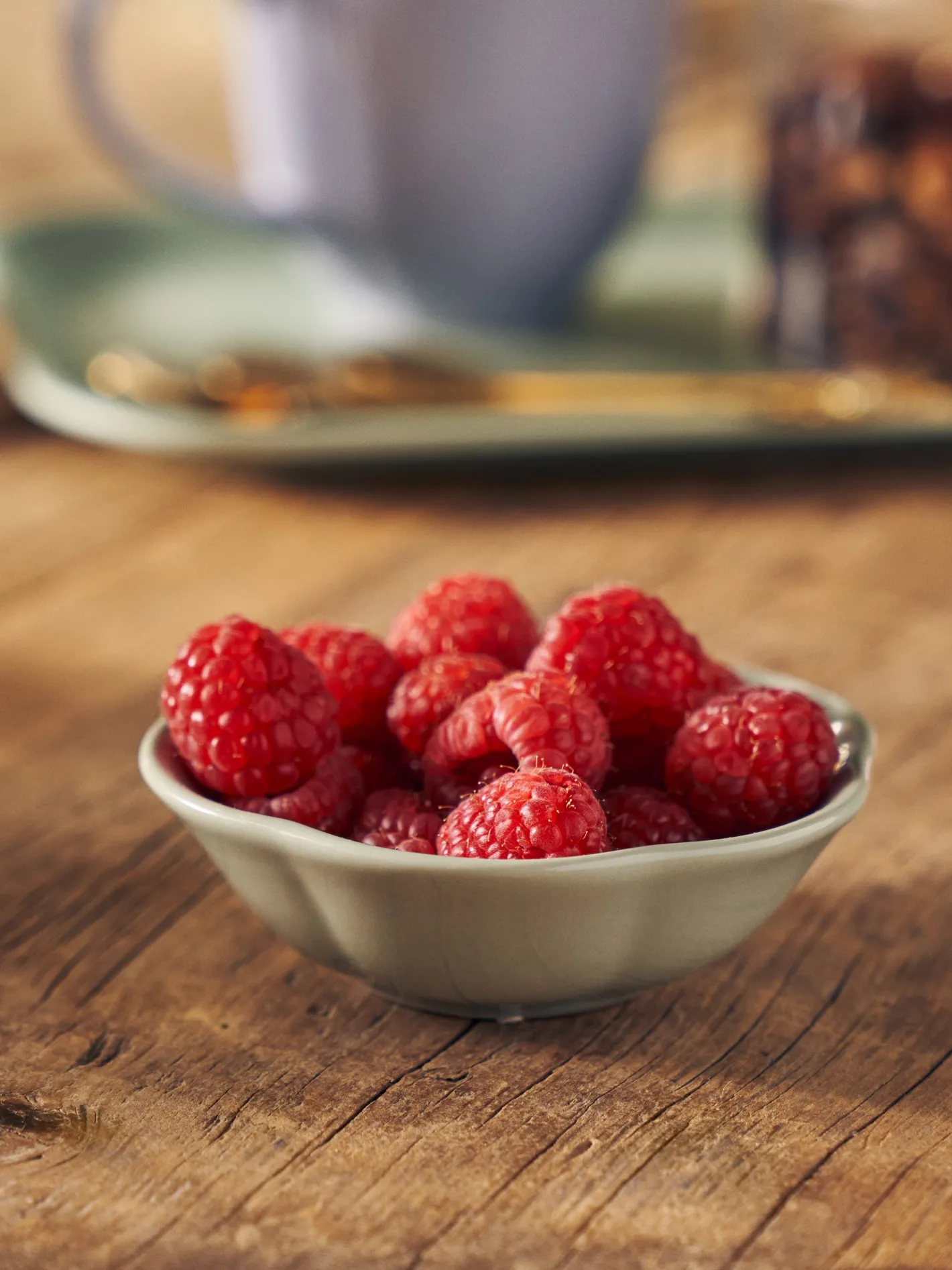 Søstrene Grene Skål