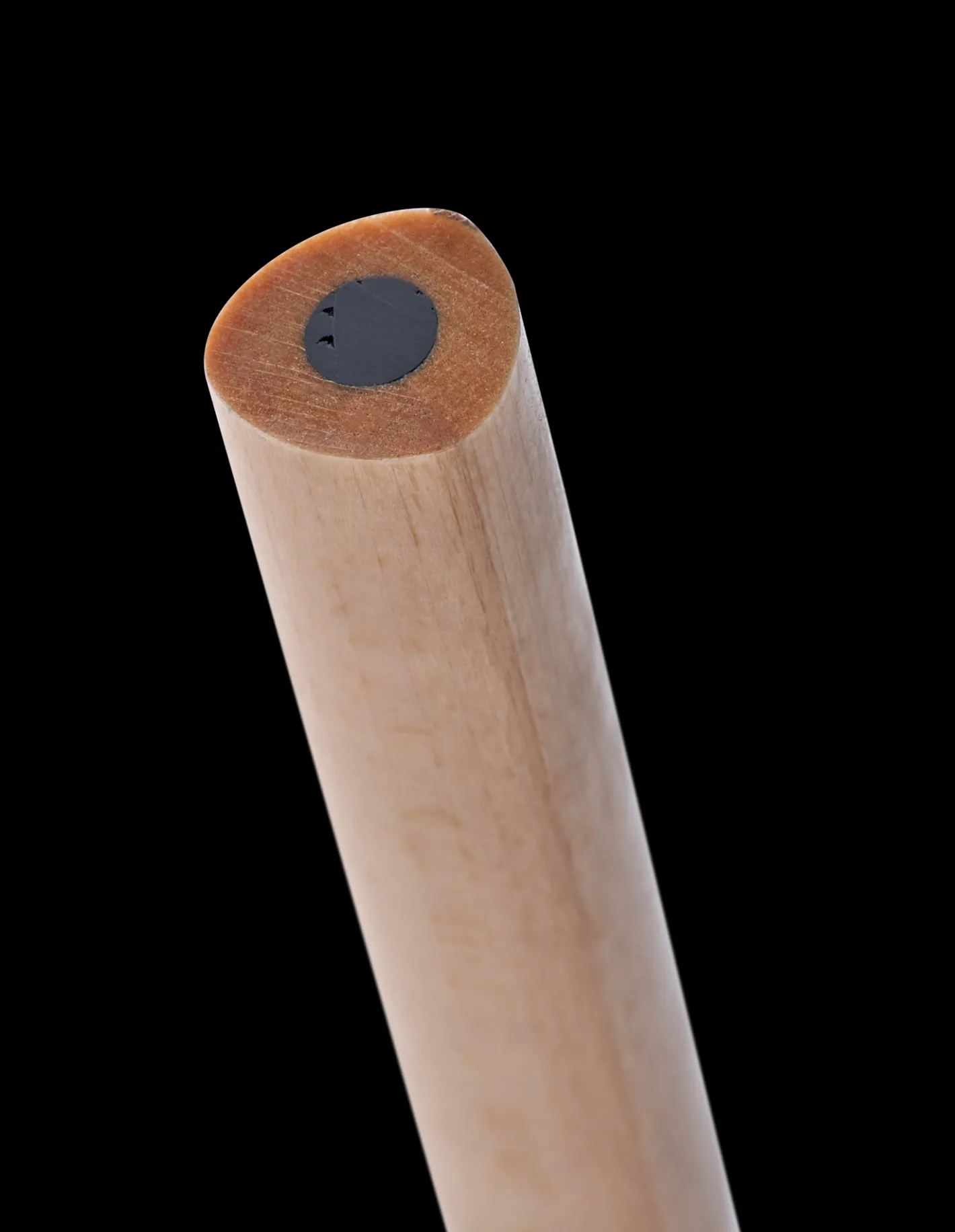 Børn Søstrene Grene Stor Farveblyant