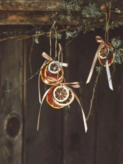 Søstrene Grene Tørrede Limeskiver