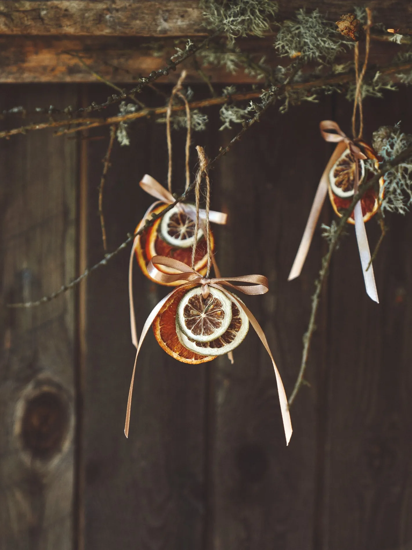 Søstrene Grene Tørrede Limeskiver