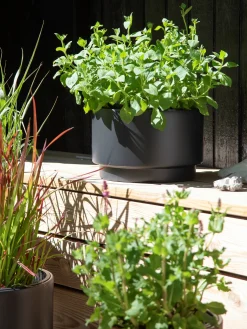 Søstrene Grene Urtepotte Heos Ø29,8 Cm