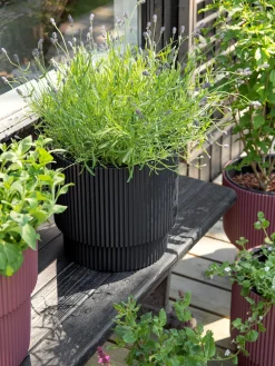 Søstrene Grene Urtepotte Milly Ø29,8 Cm