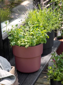 Søstrene Grene Urtepotte Milly Ø29,9 Cm