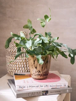 Søstrene Grene Urtepotteskjuler